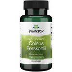 Swanson Coleus Forskohlii ForskolinAfrická Kopřiva 400 mg 60 kapslí – Hledejceny.cz
