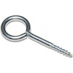 Oko s vrutem, 50x20x4,8mm, Zn – Sleviste.cz