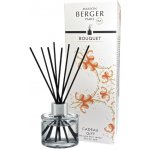 Maison Berger aroma difuzér Bouquet Cadeau Gift 80 ml