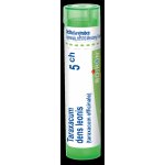 TARAXACUM DENS LEONIS POR 5CH GRA 4G – Hledejceny.cz