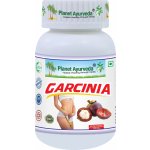 Planet Ayurveda Garcinia extrakt 5:1 500 mg 60 kapslí – Zboží Mobilmania