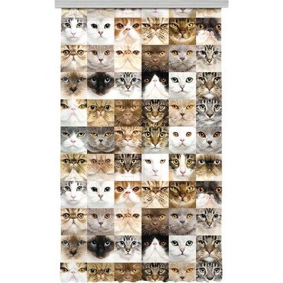 Fotozáclona AGdesign neprůhledná, Kočky 140 x 245 cm – Hledejceny.cz
