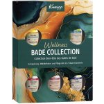 Kneipp Sada olejů do koupele 5 x 20 ml – Zboží Dáma