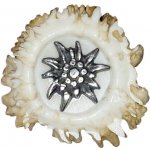 Protěž malá parohové bolo růže – Zboží Dáma