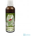 Naděje Jeřáb ptačí 50 ml tinktura z bylin – Hledejceny.cz