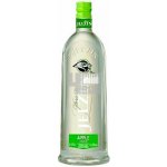 JELZIN SAURER APFEL 16,6% 1 l (holá láhev) – Zboží Dáma