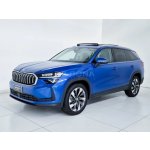 Skoda Kodiaq 1.5 TSI PHEV DSG 150 kW – Hledejceny.cz