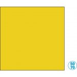 Karton barevný 50 x 70 cm žlutý tmavě, 300g – Zbozi.Blesk.cz