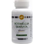 Epigemic Boswellia Serrata Epigemic 90 kapslí – Hledejceny.cz