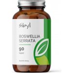 Sibyl Boswellia serrata 400 mg Pryskyřice kadidlovníku 90 kapslí – Hledejceny.cz