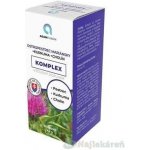 ADAMPharm Ostropestrec Mariánský+kurkuma+cholin 60 kapslí – Hledejceny.cz