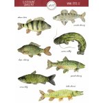 ePipí Arch samolepek Ptáčci A6 9 samolepek – Zboží Mobilmania