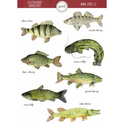 ePipí Arch samolepek Ptáčci A6 9 samolepek – Zboží Mobilmania