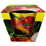 Bartek Candles Tutti Frutti Tropical 115 g – Zboží Mobilmania