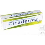 CICADERMA DRM UNG 30G – Hledejceny.cz