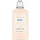 Tělové mléko L´Occitane EnProvence tělové mléko Neroli & Orchidej 245 ml