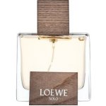 Loewe Solo Loewe Cedro toaletní voda pánská 50 ml – Hledejceny.cz