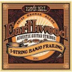 ERNIE BALL 2061 – Zboží Mobilmania