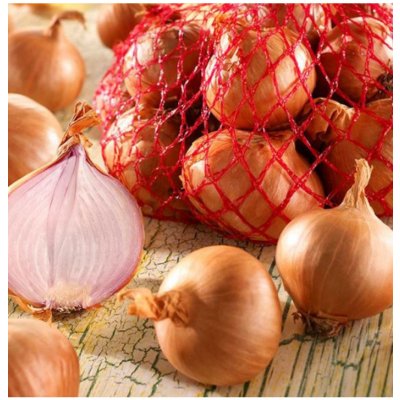 Cibule šalotka Red Sun - Allium cepa - cibule sazečky - 500 g