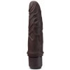 Vibrátor Blush Dr. Skin Silicone Dr. Robert 7 Inch Vibrating Dildo Brown