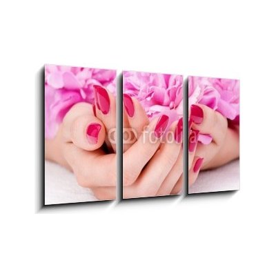 Obraz 3D třídílný - 90 x 50 cm - Woman cupped hands with manicure holding a pink flower Žena s rukama rukou s manikúrou držící růžový květ – Zboží Mobilmania