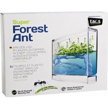Forest Ant Ecoterrarium