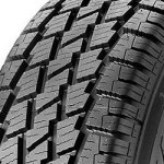 Maxxis MA-W2 215/60 R16 103T – Hledejceny.cz