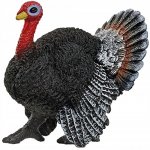 Schleich 13900 Farm World Turkey – Hledejceny.cz