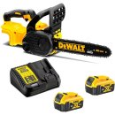 DeWalt DCM565P2