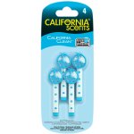California Scents VENT STICKS SINGLE SCENT California Clean – Hledejceny.cz