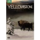 Yellowstone DVD