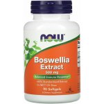 Now Foods Boswellia Extract 500 mg 90 softgel kapslí – Hledejceny.cz