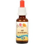 Bachovy květové esence JDI ZA SRDCEM 30 ml – Hledejceny.cz