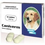 Caniverm forte tbl 6 x 0,7 g – Hledejceny.cz