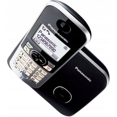 Panasonic KX-TG6811 – Zboží Živě