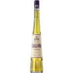Galliano Vanilla 30% 0,7 l (holá láhev) – Zboží Dáma