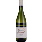 Bodega Chacra Chardonnay 2023 Bílé 12% 0,75 l (holá láhev) – Hledejceny.cz