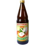 Beutelsbacher Jablečný ocet demeter Bio 750ml – Zbozi.Blesk.cz