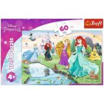 TREFL Seznamte se s Disney princeznami 60 dílků – Hledejceny.cz