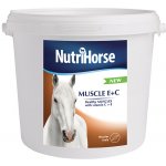Nutri Horse Muscle E + C 2 kg – Hledejceny.cz