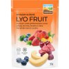 Sušený plod FARMLAND Lyofruit mix jahody borůvky broskve a višně 30 g