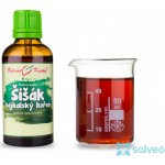 Bylinné kapky tinktura Šišák bajkalský kořen 50 ml – Hledejceny.cz