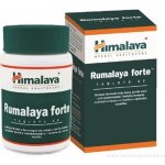 Himalaya Rumalaya Forte 60 tablet – Hledejceny.cz
