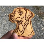 TVOŘÍTKO Rhodéský ridgeback V - vykrajovátko – Hledejceny.cz