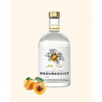 Anton Kaapl Meruňkovice 47% 0,5 l (holá láhev) – Zboží Dáma