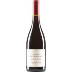 Bernard Moreau Bourgogne Pinot noir AOC 2024 12,5% 0,75 l (holá láhev) – Hledejceny.cz