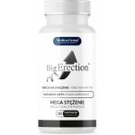 Medica-Group Big Erection Capsules 60 caps – Zboží Mobilmania