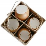 Skořápka závěs 4ks/6cm natural – Hledejceny.cz