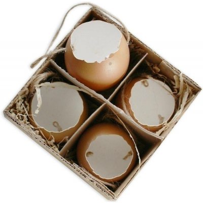 Skořápka závěs 4ks/6cm natural – Hledejceny.cz