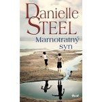 Marnotratný syn brož. - Steel Danielle – Hledejceny.cz